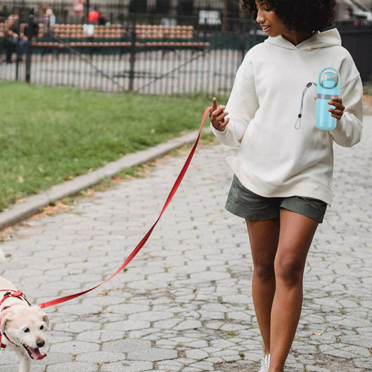 Portable Pet Toilet Picker, Portable Dog Poop Scooper, Dog Poop Picker