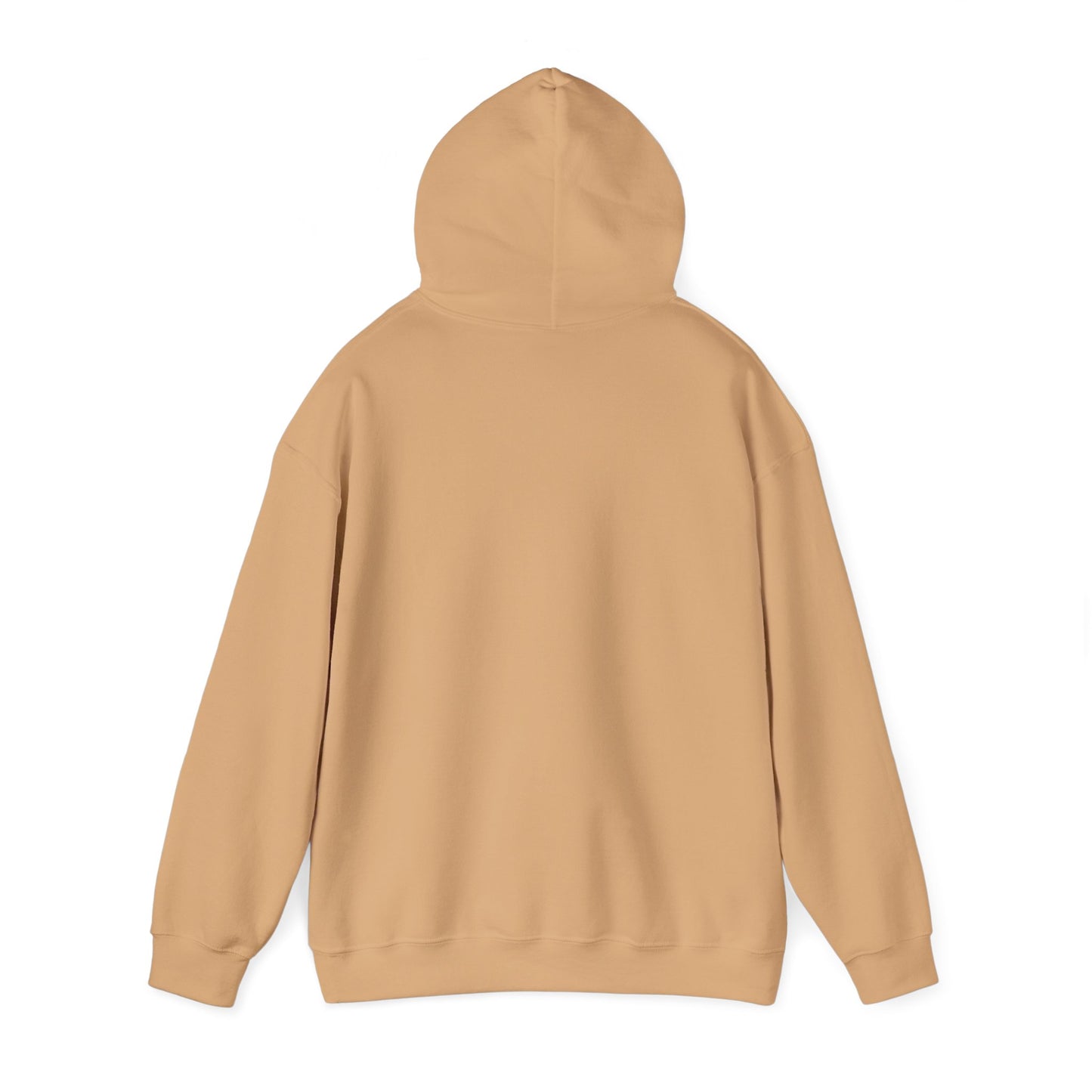 Hooded sweatshirt, a warm and comfortable choice for chilly days