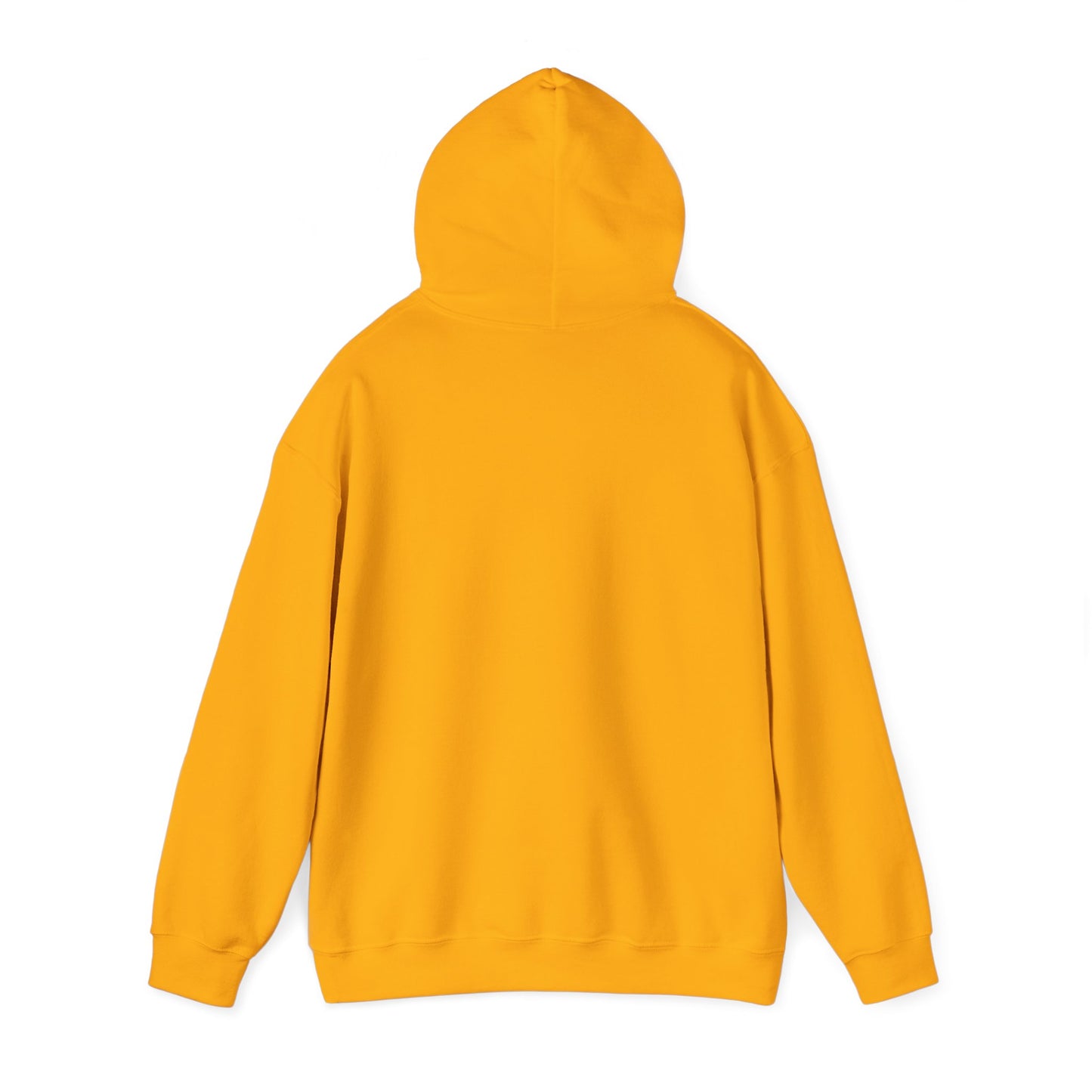 Hooded sweatshirt, a warm and comfortable choice for chilly days